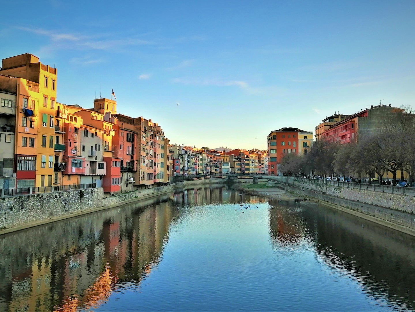 planes primavera girona