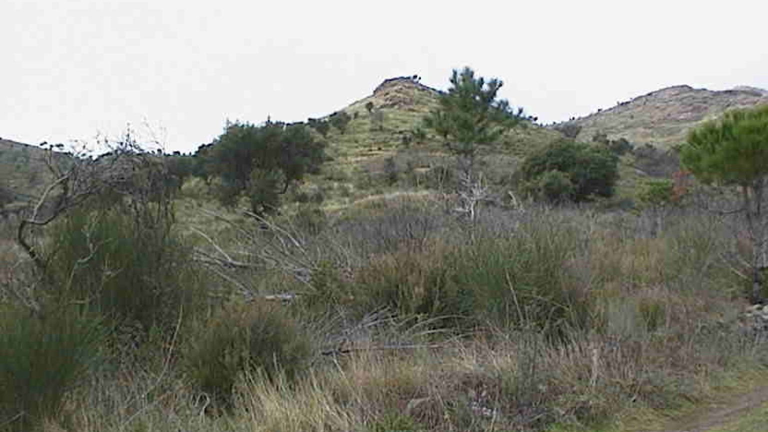 Finca rústica en venda a Vilajuïga