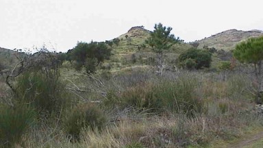 Rustic plot of land for sale in Vilajuïga