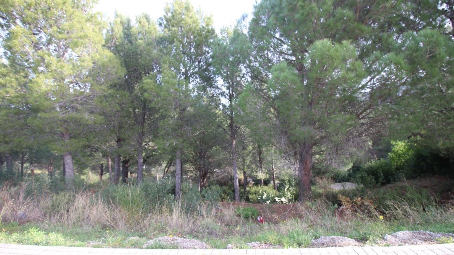 Plot of land for sale in La Vila area