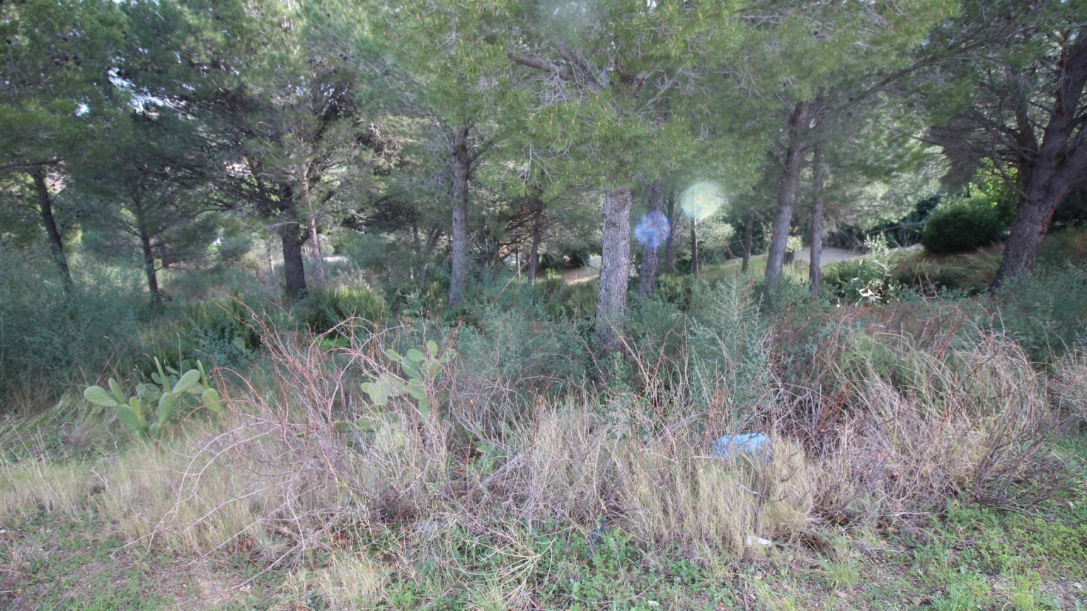 Plot of land for sale in La Vila area