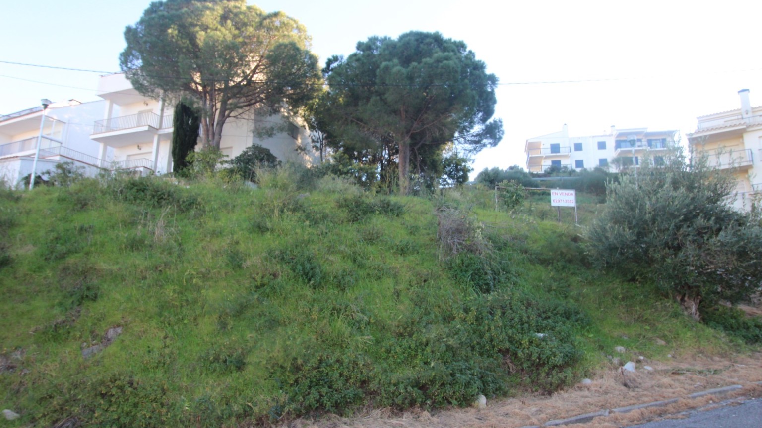 Plot of land for sale in Les Tonyines area