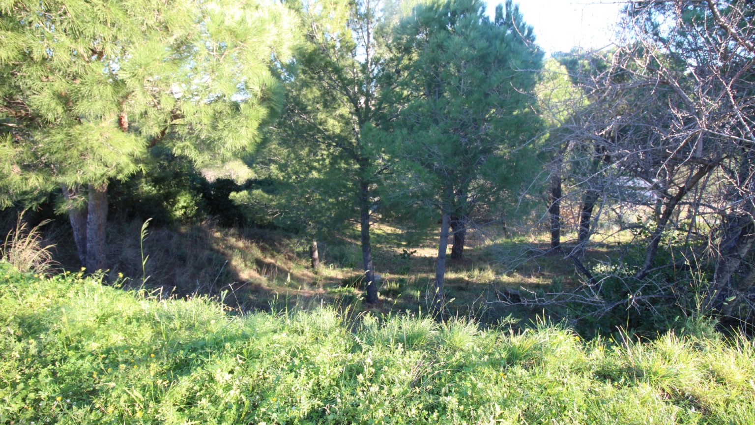 Parcel.la de terreny en venda a la zona de La Vila