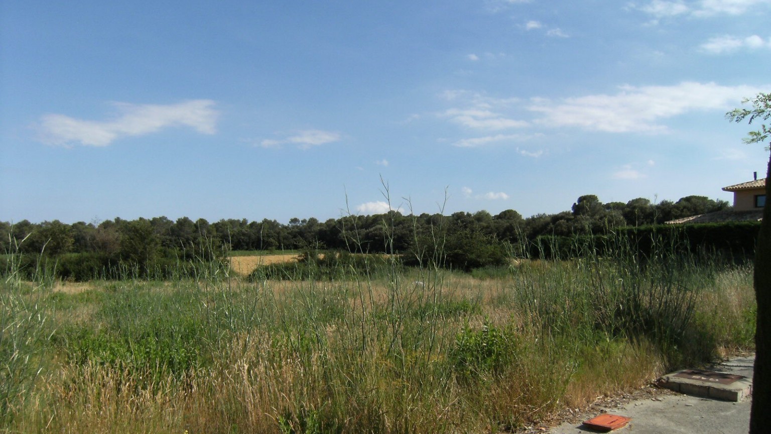 Plot for sale, surface area 17.022m², in Navata.