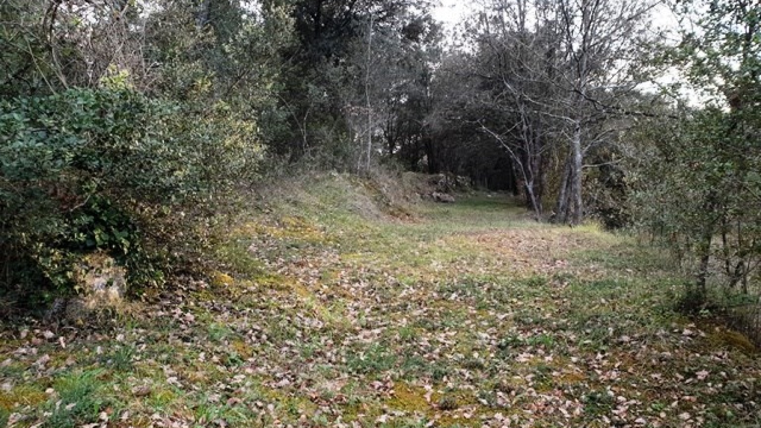 Terreno situado en la población de Sant Marti de Llemana, dispone de 1885m2, vistas espectaculares