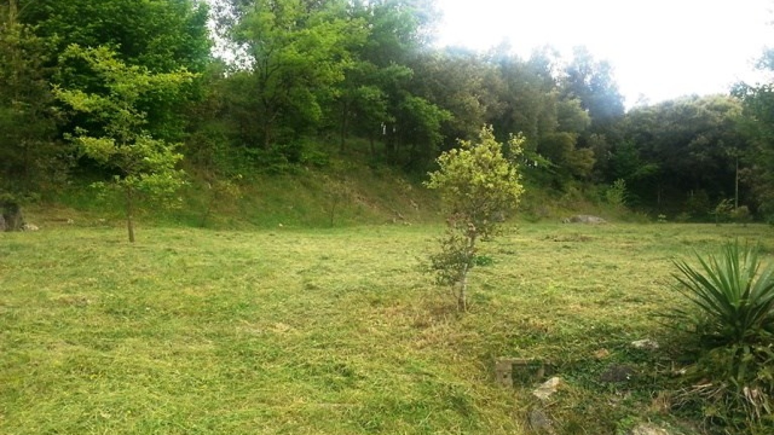 Terreny situat a la població de Sant Marti de Llemana, disposa de 1885 m2, vistes espectaculars