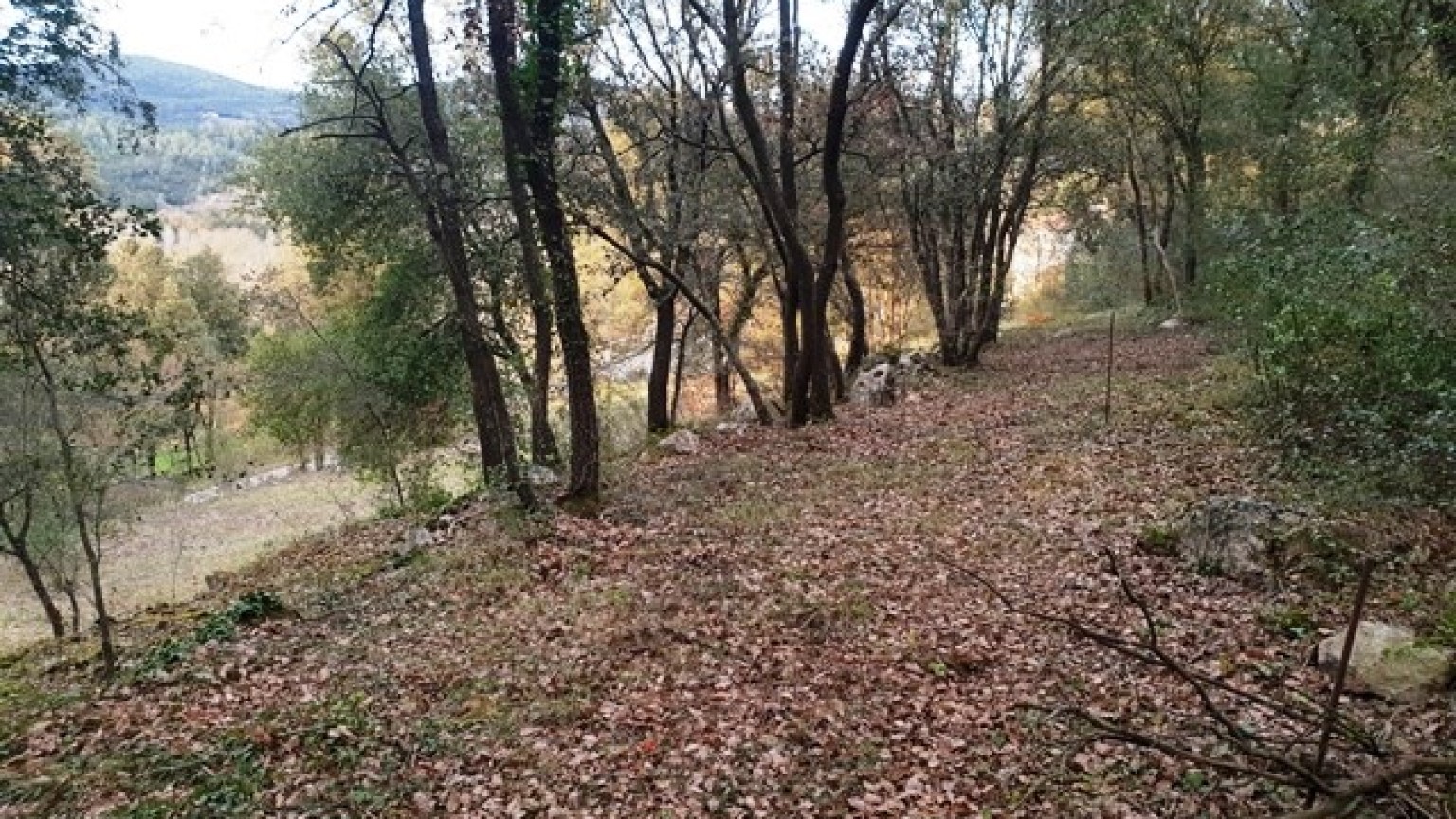 Terreno situado en la población de Sant Marti de Llemana, dispone de 1885m2, vistas espectaculares