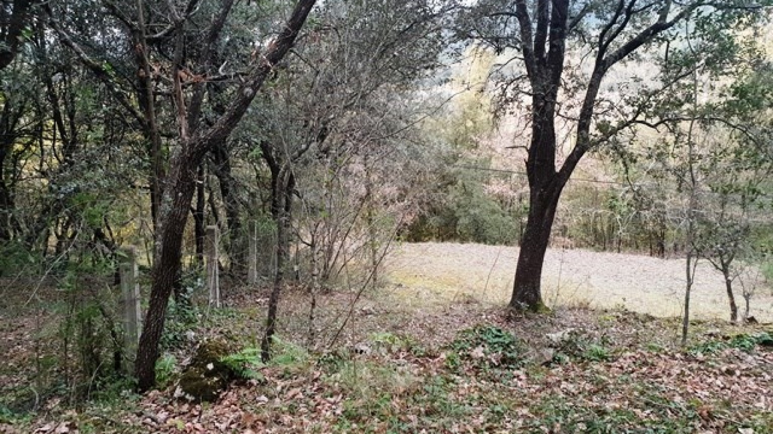 Terrain situé dans la ville de Sant Marti de Llemana, a 1885m2, vues spectaculaires.