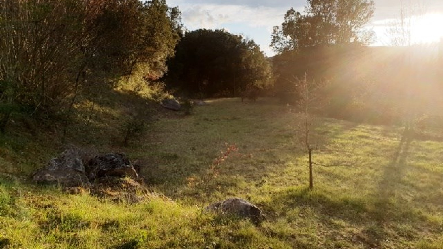 Terrain situé dans la ville de Sant Marti de Llemana, a 1885m2, vues spectaculaires.