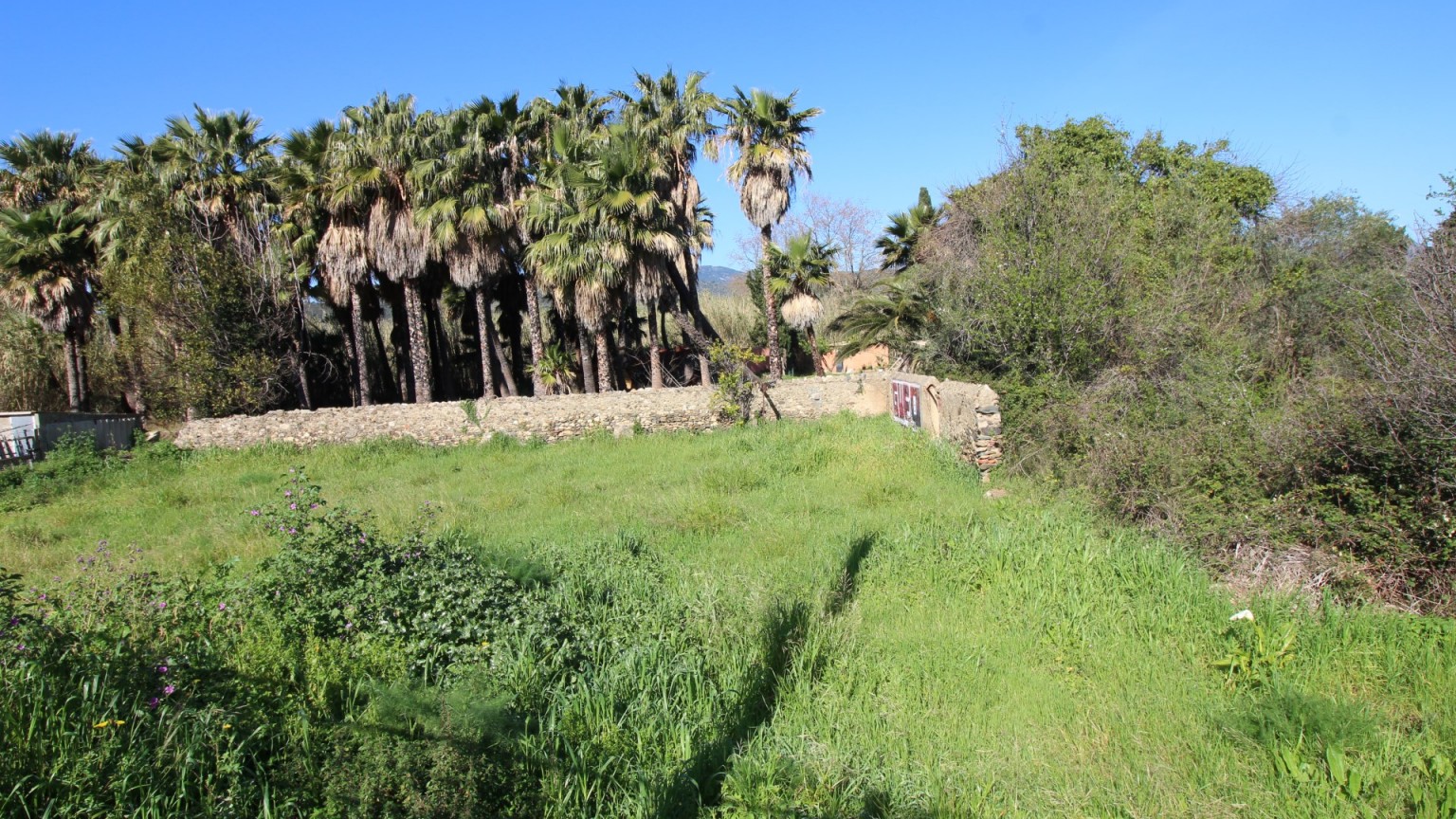Plot of land for sale for farming use, La Bateria area.