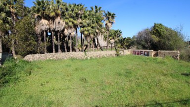 Plot of land for sale for farming use, La Bateria area.