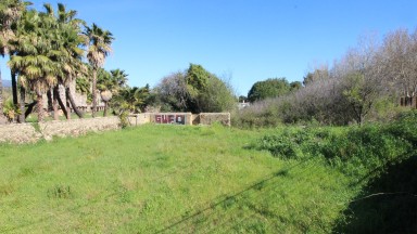 Plot of land for sale for farming use, La Bateria area.