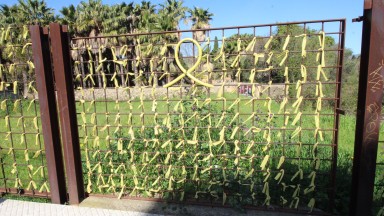 Terreno en venta de uso agrario, zona La Bateria.