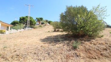 Plot of land for sale in Grifeu area