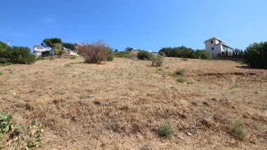 Terreny en venda a la zona de Grifeu