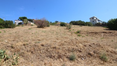 Plot of land for sale in Grifeu area