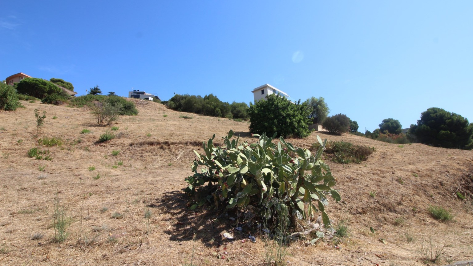 Terreno en venta en la zona de Grifeu