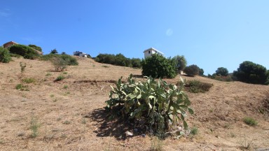 Plot of land for sale in Grifeu area