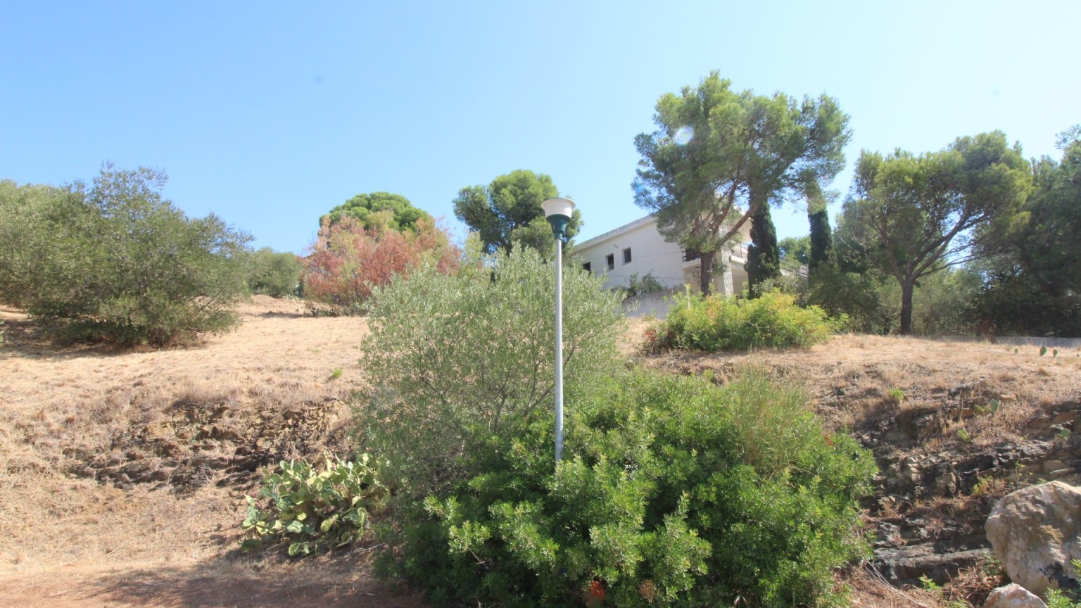 Terreno en venta en la zona de Grifeu