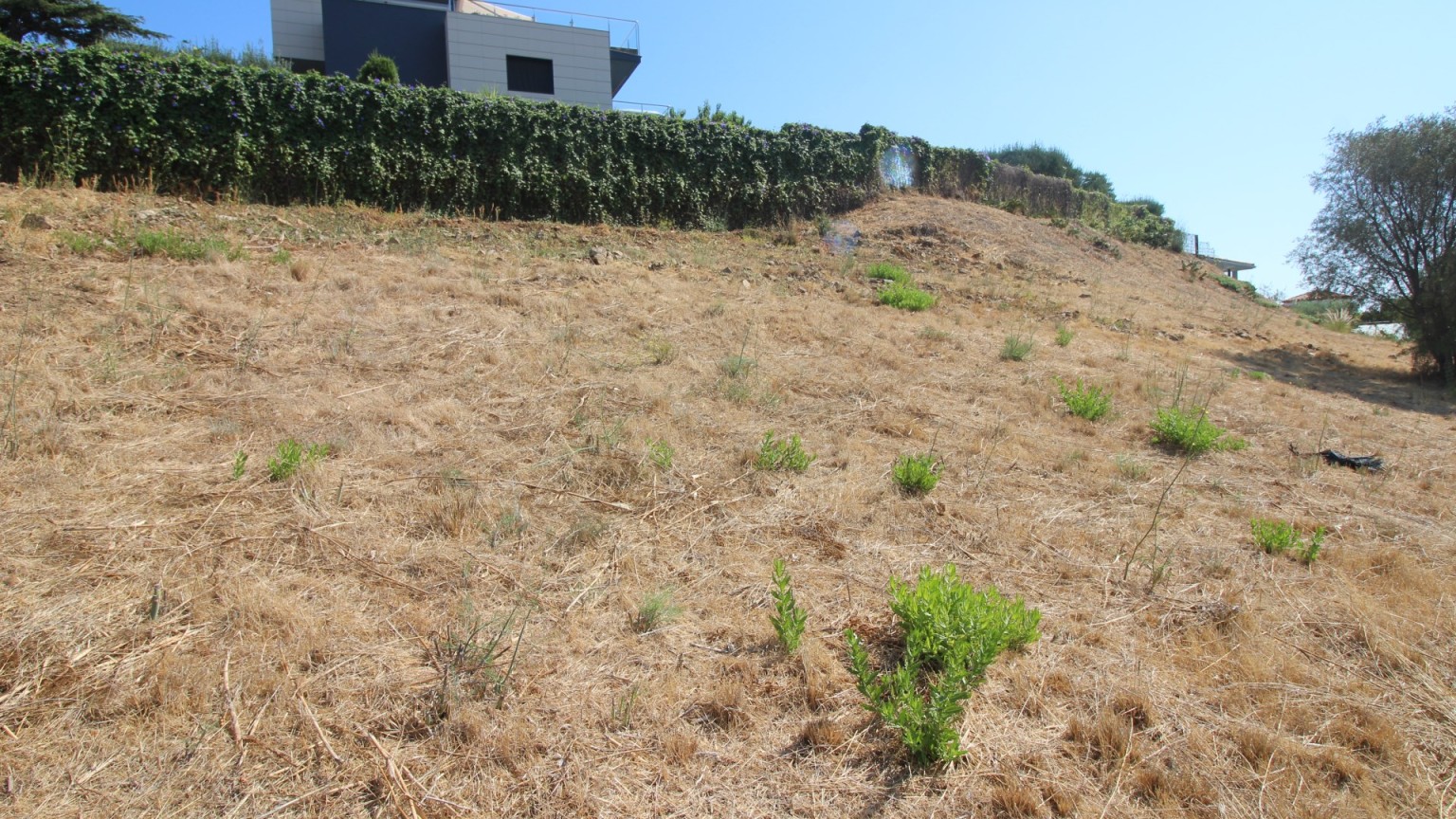 Terreno en venta en la zona de Grifeu