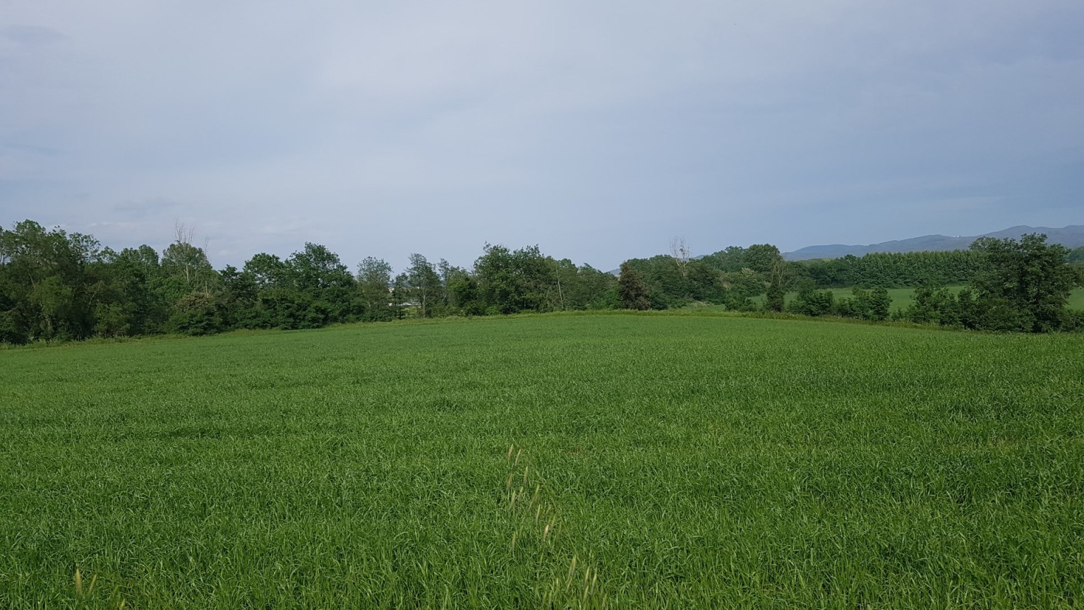 Finca rústica en venda en VIDRERES