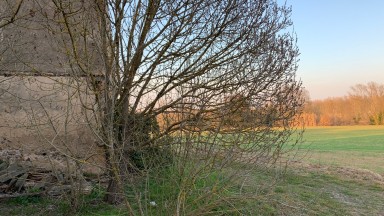 Maison de campagne à vendre. VIDRERES