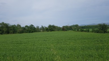 Maison de campagne à vendre. VIDRERES