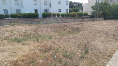 Plot of land for sale in Grifeu