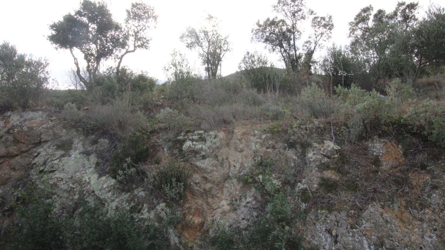 Parcela de terreno en venta en Fané