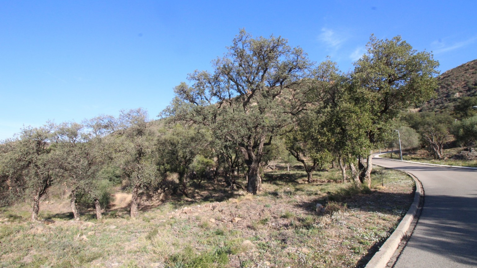 Bosque en venta o alquiler en la zona de Pau.