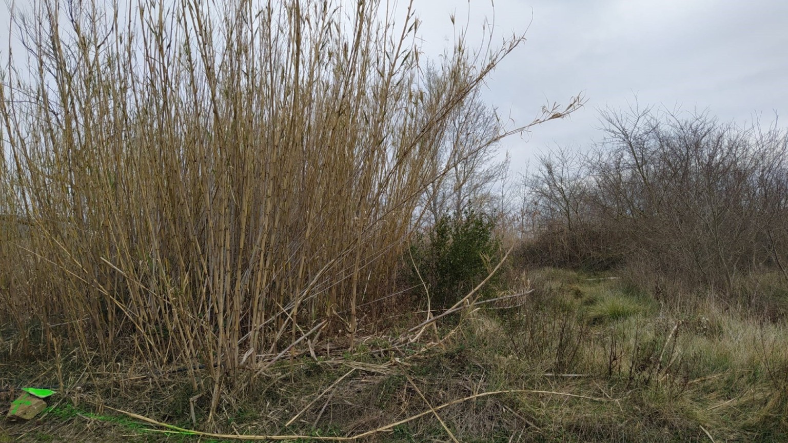 Huerto en venta en Pau