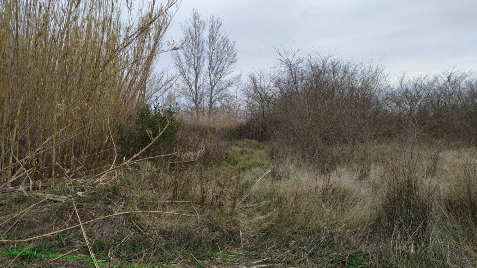 Jardin en vente à Pau