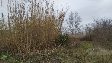 Jardin en vente à Pau