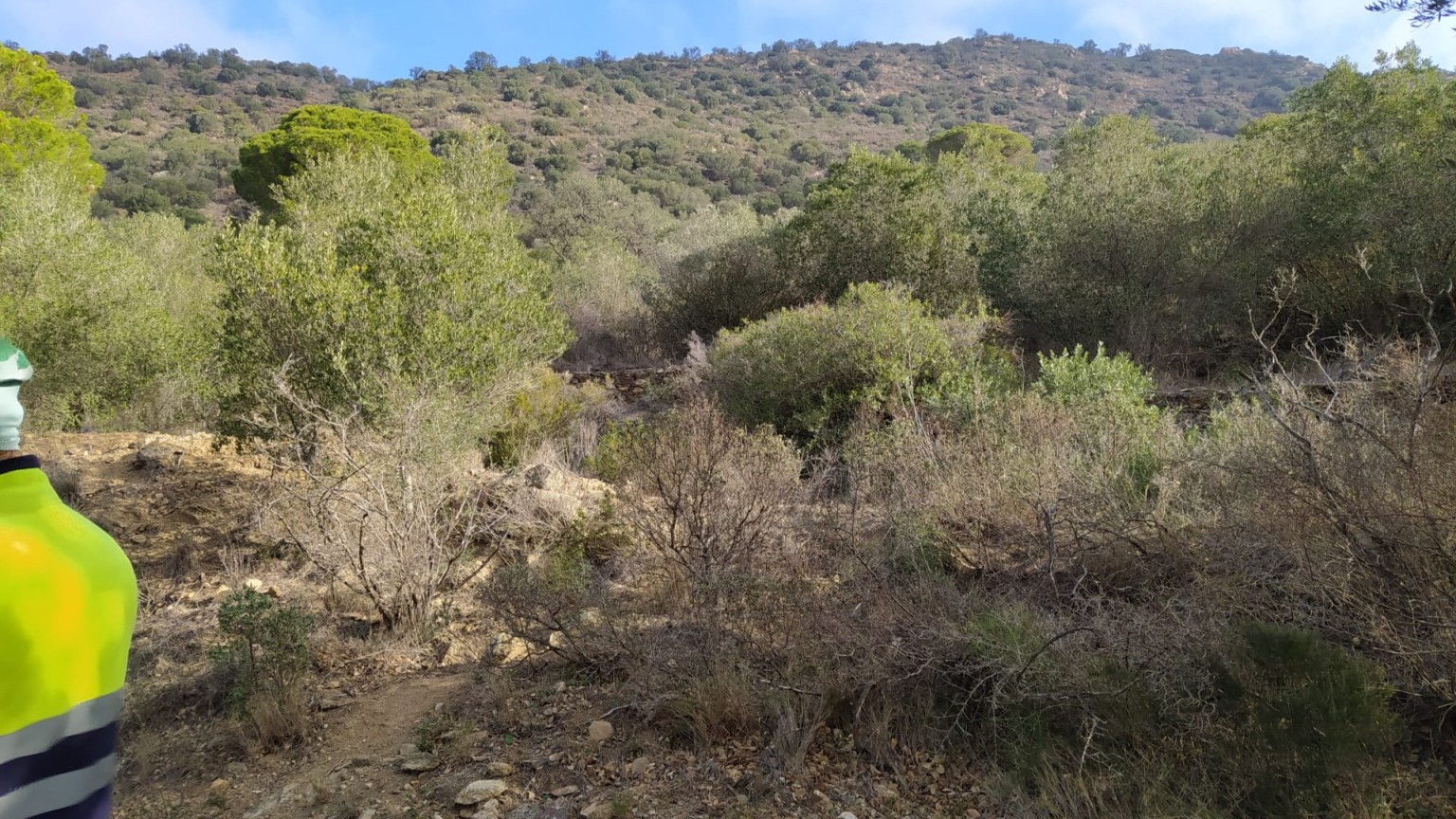 Terreny en venda a Pau