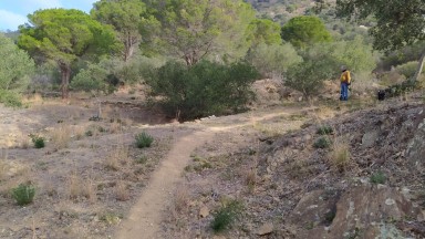 Terreny en venda a Pau