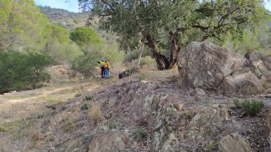 Terreny en venda a Pau