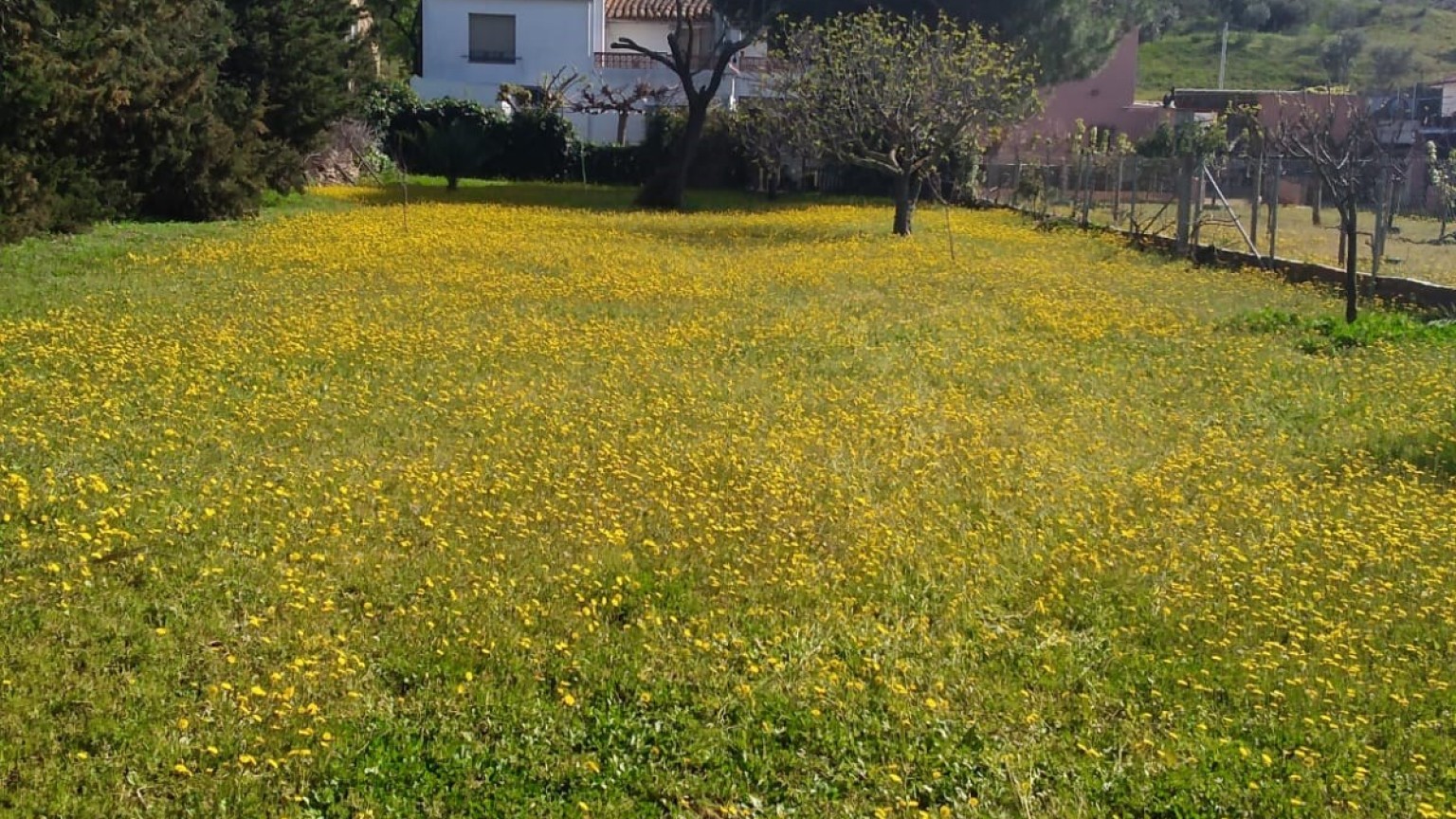 En venta casa aislada con jardin, compuesta de tres viviendas.