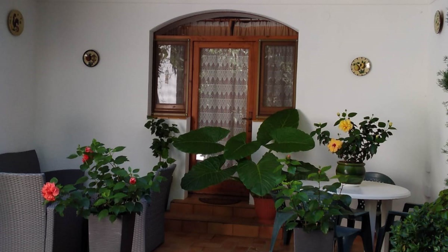 For sale detached house with garden, consisting of three houses.