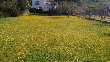 En venda casa aïllada amb jardí, composta de tres habitatges.