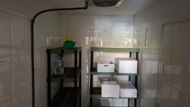 Local comercial en venta o alquiler en Llançà