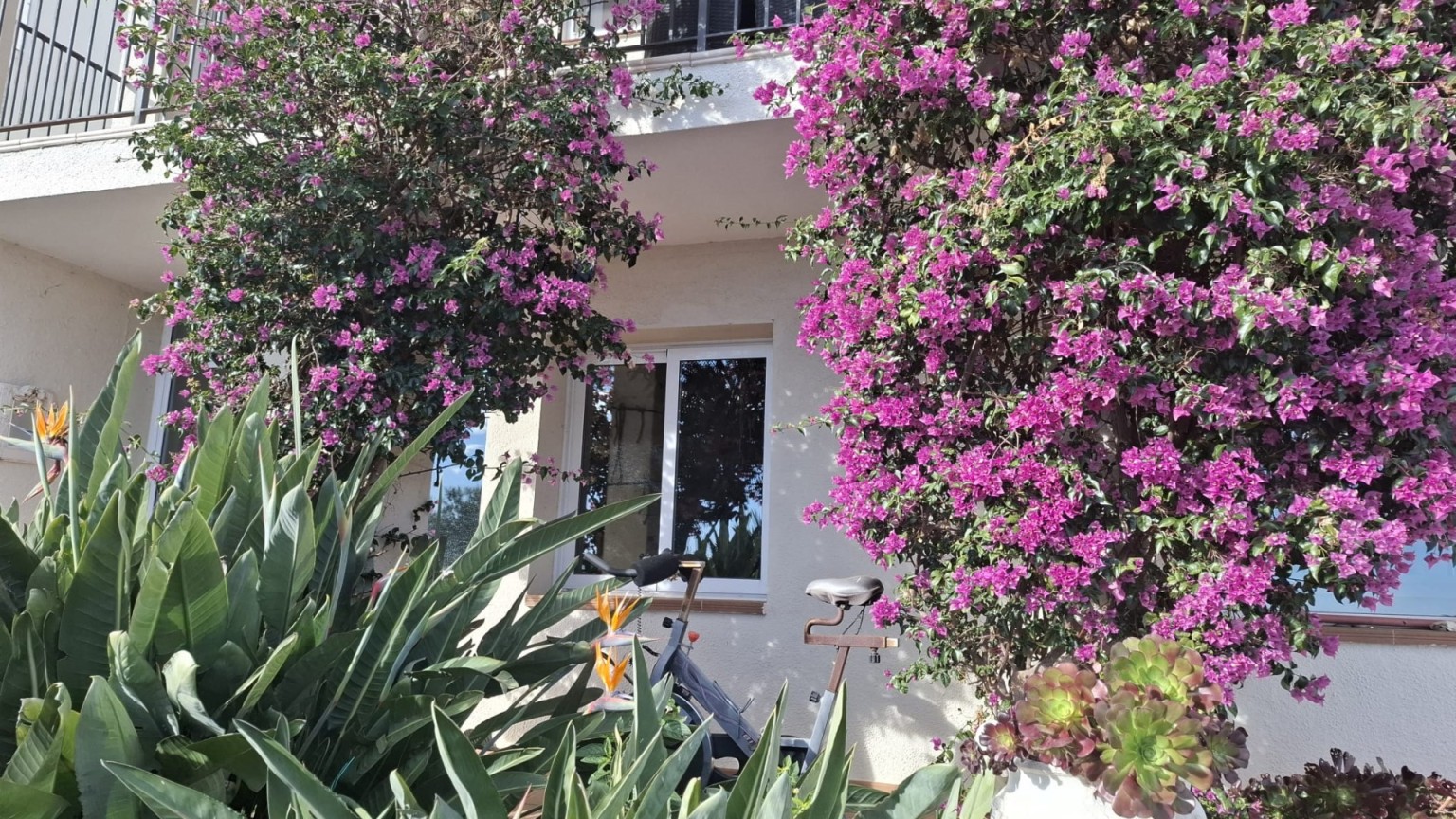 Fantástica casa en venta en Grifeu