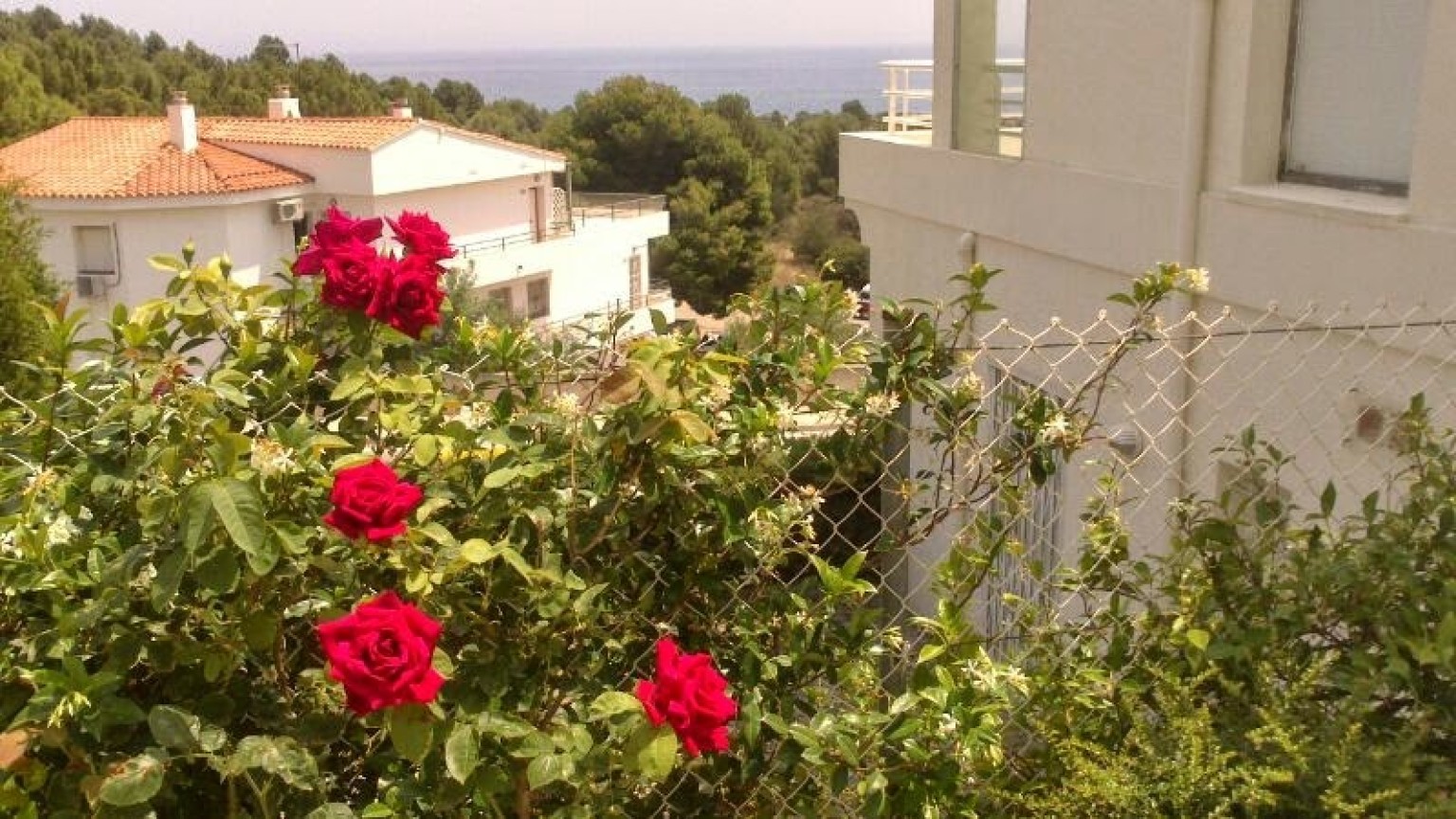 Bonic apartament per llogar a Cap Ras