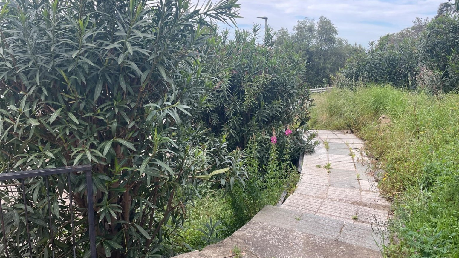 Bonito apartamemento en alquiler en Cau del Llop