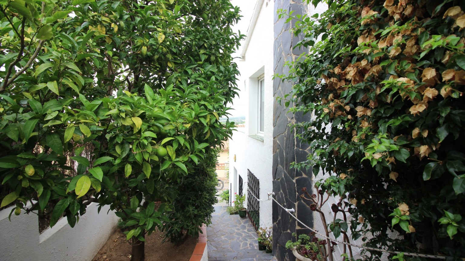 Casa en venda, zona Els Grecs amb 4 dormitoris i 3 banys.