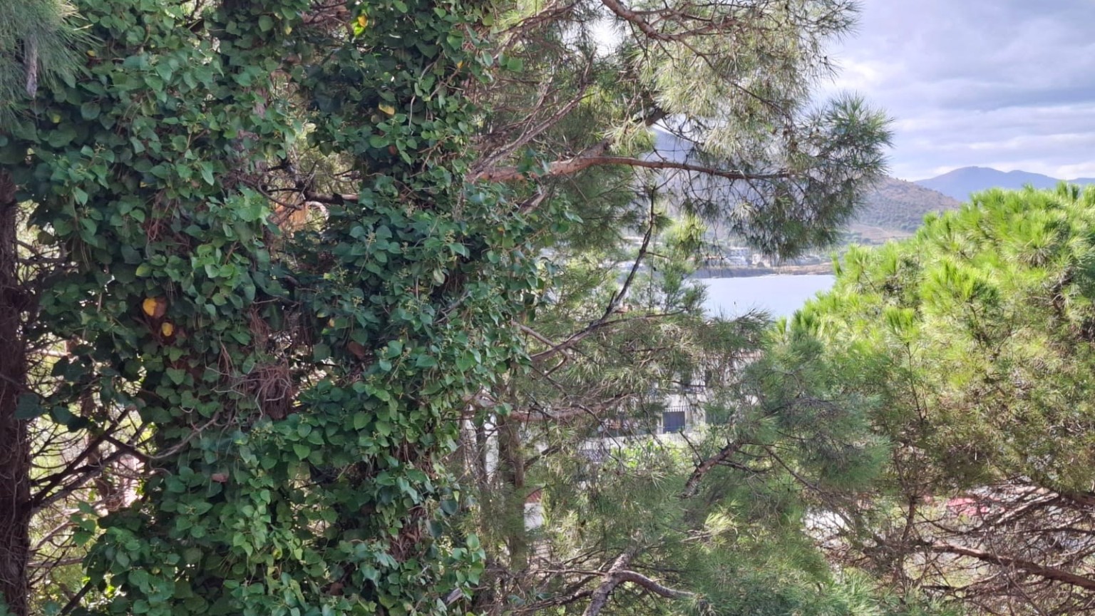 Apartament en venda d´obra nova al Port de la Selva