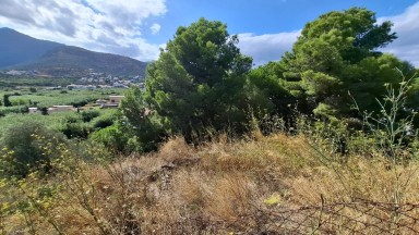 Fonollera Promotion - Port de la Selva Housing Developments